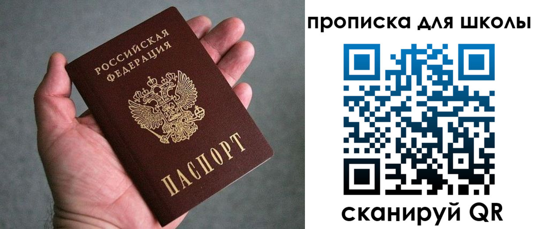 прописка для школы в Ясном